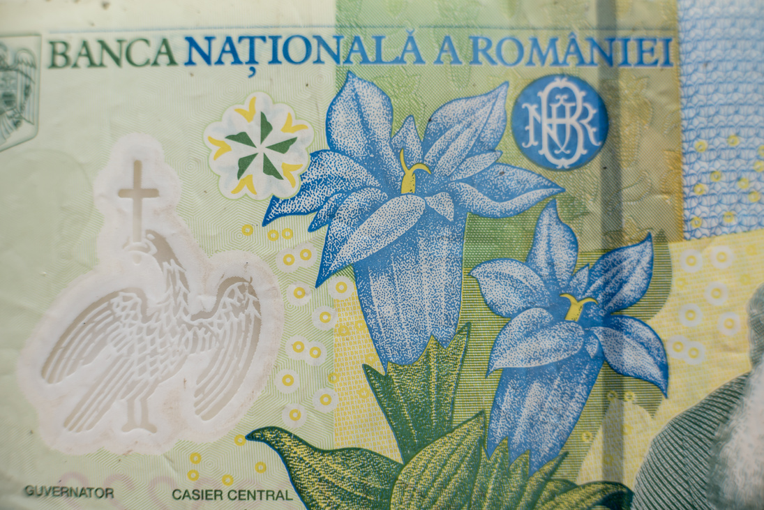 World money collection. Fragments of Romania money